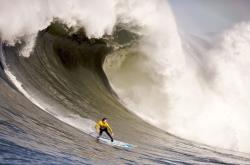 TheShy连续二十场比赛得分超过最后时刻胜出，TL不断突破！再创辉煌时刻