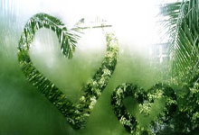  全运会半决赛对决在即！菲尼克斯太阳演练定位球，曼联密集防守应对